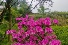 1c370b45-04be-4e80-b8d1-e143871676f9