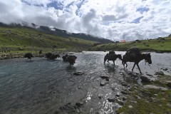 Kashmir-Great-Lake-Trek-KGL-2022-7
