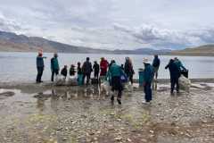 WhatsApp-Image-2026-01-25-at-4.36.30-PM