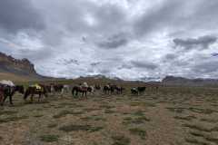 WhatsApp-Image-2026-01-25-at-4.36.46-PM